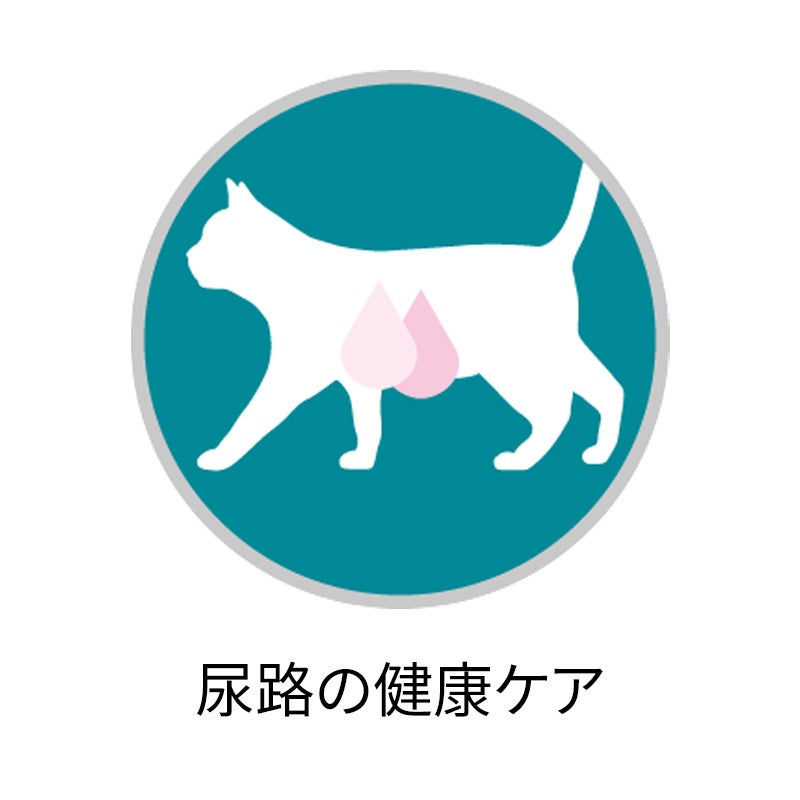 【受渡し決定】猫用ピュリナワン 体重ケアターキー&美味サーモン計11㎏ ピュリナワン 猫用 避妊・去勢した猫の体重ケア ターキー 2.2kg (550g